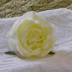 Gardenia Corfu Town 아파트